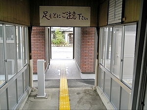 z[猩D
