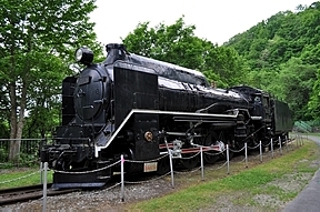 D51 6