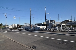 wS