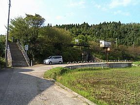 wS
